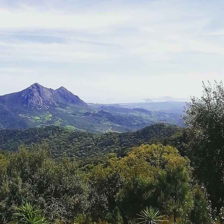 Bella Vista